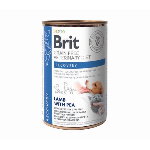BRIT GF VD Dog + Cat Recovery, za oporavak, konzerva 400g