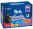 BRIT PREMIUM Family obrok, 1200g (12x100g)