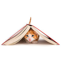 Literatura