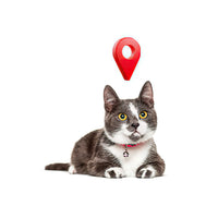 GPS lokatori za mačke