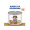 HILL's PD Canine/Feline a/d Restorative Care, piletina, 200g