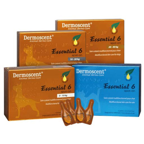 DERMOSCENT Essential 6 Spot on za pse od 10-20kg, za regeneraciju ostecene koze