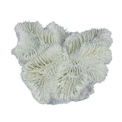EBI Aqua D'ella Akvarijski ukras koralj Fungia, 11,5x11,5x5cm