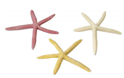 EBI Aqua D'ella Akvarijski ukras Starfish 18,5cm, razne boje