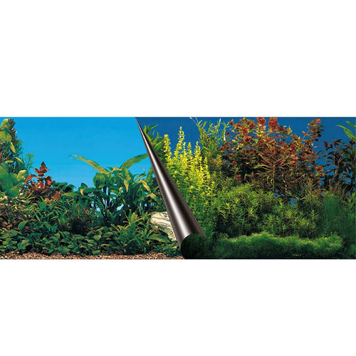 EBI CLERANCE Pozadina za akvarije Beauty&Sea, dvostrana, poster 80x40cm