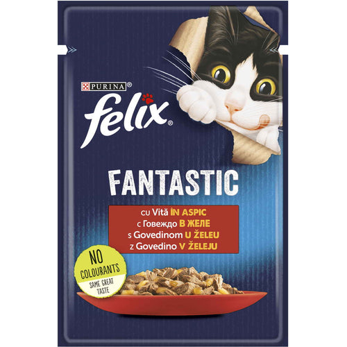 FELIX Fantastic, s govedinom u zeleu, 85g