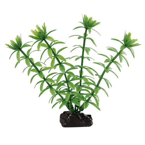 FERPLAST Akvarijsko bilje BLU 9055 Egeria 3,5x2xh10cm
