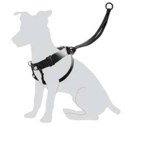 FLAMINGO Orma Easy Walker