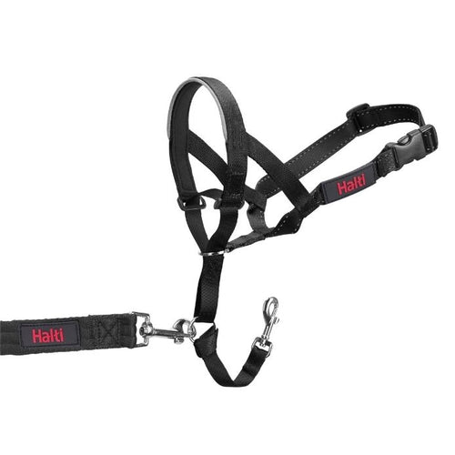 HALTI Headcollar (The Company Of Animals), no-pull brnjica 