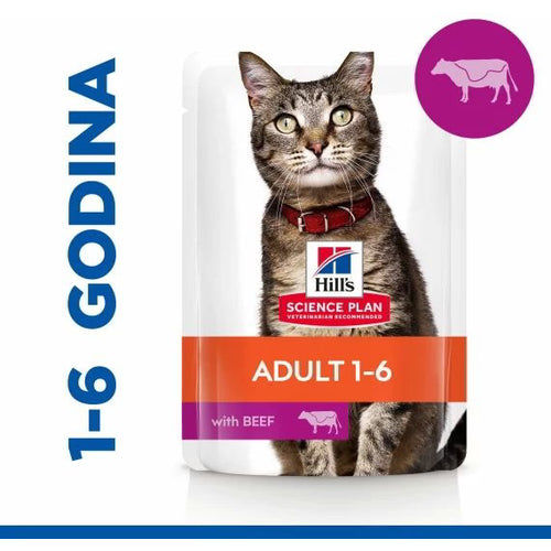 HILL's Vrecica Feline govedina 