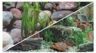 HOBBY DOHSE Pozadina za akvarij Kamen, dvostrana, sirina 50cm, a 1m