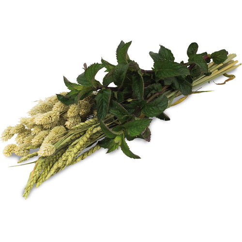 JR FARM Herb Harvest, poslastica za patuljaste kunice i glodavce, 80g