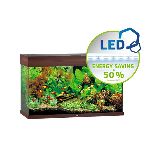 JUWEL Akvarij Rio 125 LED, 81x36x50 cm, 125 L, tamno smeđi