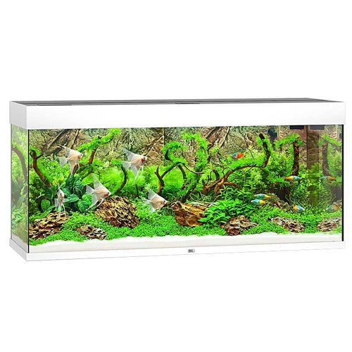 JUWEL Akvarij Rio 240 LED, 121x41x55cm, 240 L, bijeli