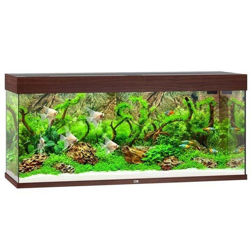 JUWEL Akvarij Rio 240 LED, 121x41x55cm, 240 L, smeđi