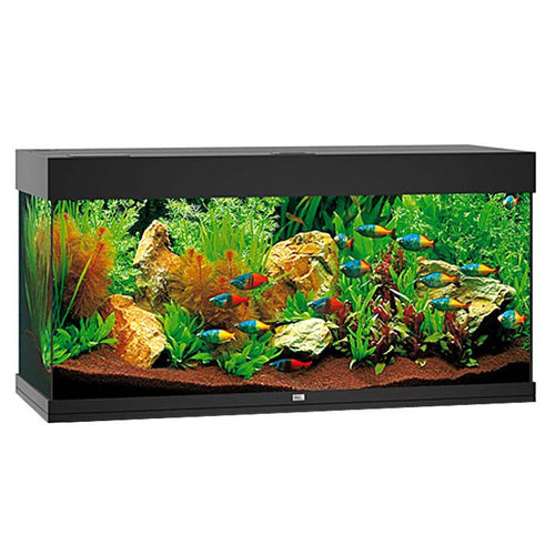 JUWEL Akvarij Rio 240 LED, 121x41x55cm, 240 L