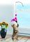 KONG Igračka za mačke Window Teaser, 33,02x8,26x3,81cm