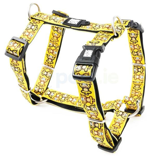 MAX&MOLLY Orma Majmun