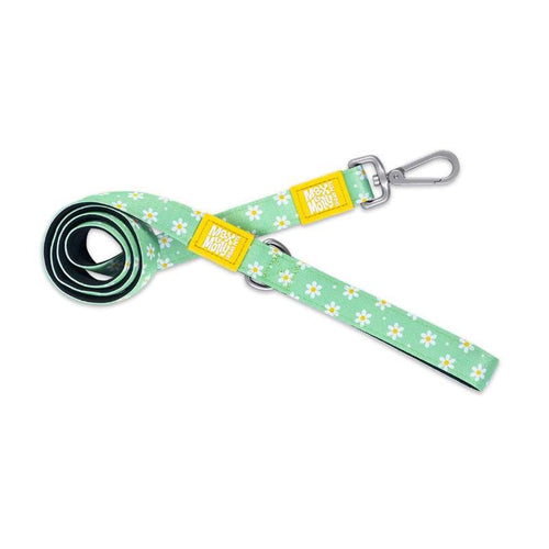 MAX&MOLLY Vodilica Ivancica