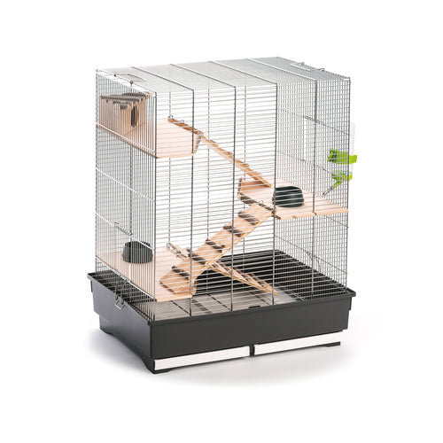 MPS Kavez Fedro, 66x45xh76cm za degue i stakore