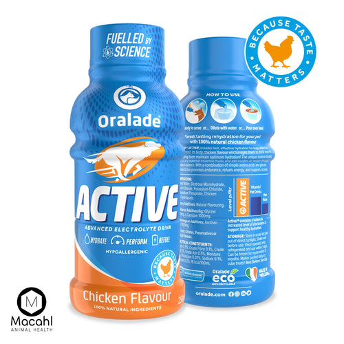 ORALADE Active Chicken 250ml, tekucina izotonicna za rehidrataciju pasa