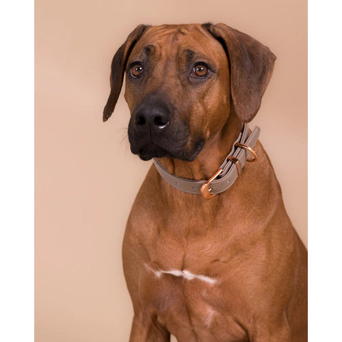 PAIKKA Lignify Ogrlica bez XS 