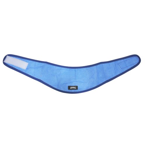 PAWISE Cooling Bandana
