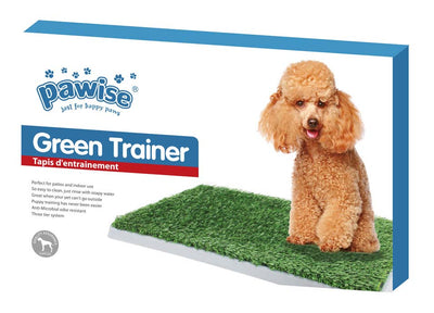PAWISE Green Trainer, WC za stence, 43x67x4cm