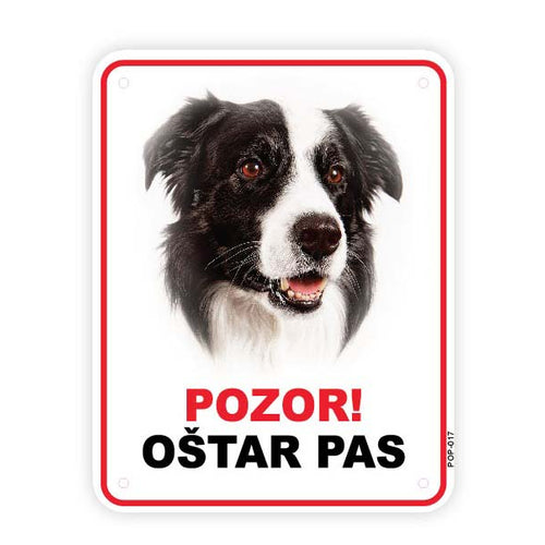 Plocica s natpisom, Border Collie - glava, PVC, 115x147mm 