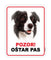 Pločica s natpisom, Border Collie - glava, PVC, 115x147mm
