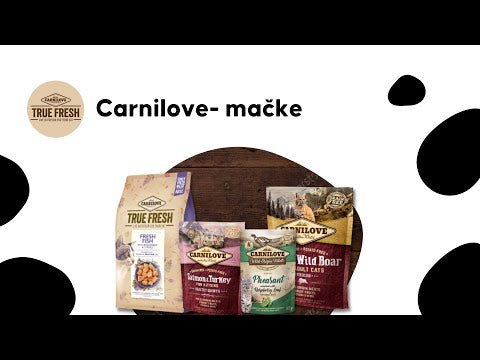 Video koji opisuje proizvod CARNILOVE Wild Origin Fillets, KITTEN, bogato kunićevinom, s nevenom, GF 85g