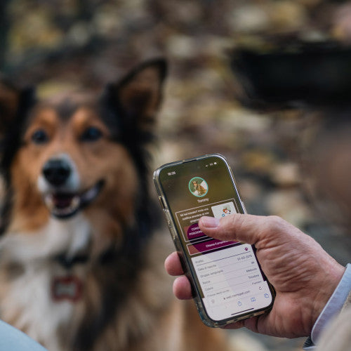 MYFAMILY Hushtag Plus QR CODE Pločica za graviranje Kost, aluminij, plava guma
