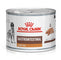 RC VHN Dog Gastro Intestinal  Low Fat, kod gastrointestinalnih poremećaja, 200g