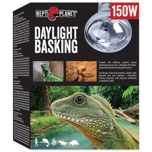 REPTI PLANET Terarijska zarulja Daylight Basking Spot 150W