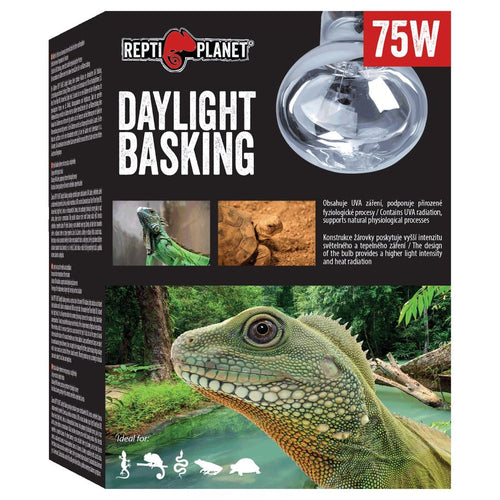REPTI PLANET Terarijska zarulja Daylight Basking Spot 75W