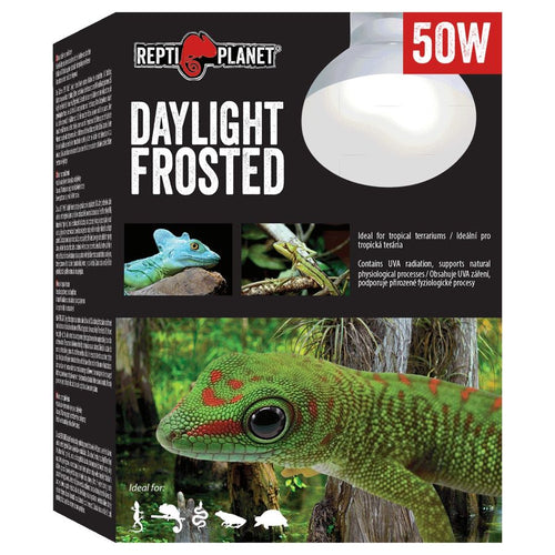 REPTI PLANET Terarijska zarulja Daylight Frosted