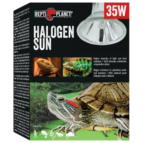 REPTI PLANET Terarijska zarulja Halogena 35W