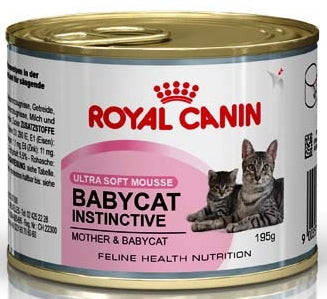 ROYAL CANIN konzerva za macice do 4 mjeseca FHN BabyCat