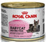 ROYAL CANIN konzerva za mačiće do 4 mjeseca FHN BabyCat 195g