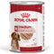 ROYAL CANIN SHN Medium adult konzverva za pse,  410g