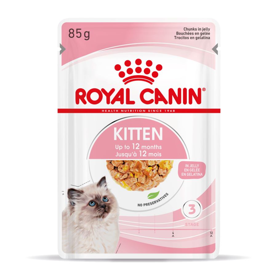 ROYAL CANIN vrecica za macice FHN KITTEN u zeleu 85g 