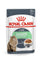 ROYAL CANIN vrećica za mačke FCN Digestive Sensitive u umaku 85g