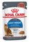 ROYAL CANIN vrećica za mačke FCN Light Weight, u umaku, 85g
