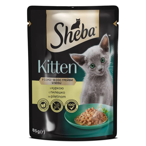 SHEBA KITTEN s piletinom, u umaku, 85g