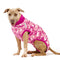 SUITICAL Kaputić za oporavak za pse, ružičasti