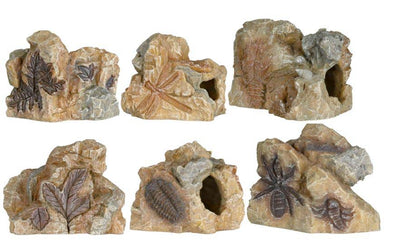 TRIXIE Akvarijski ukras fossil 10cm, razne vrste