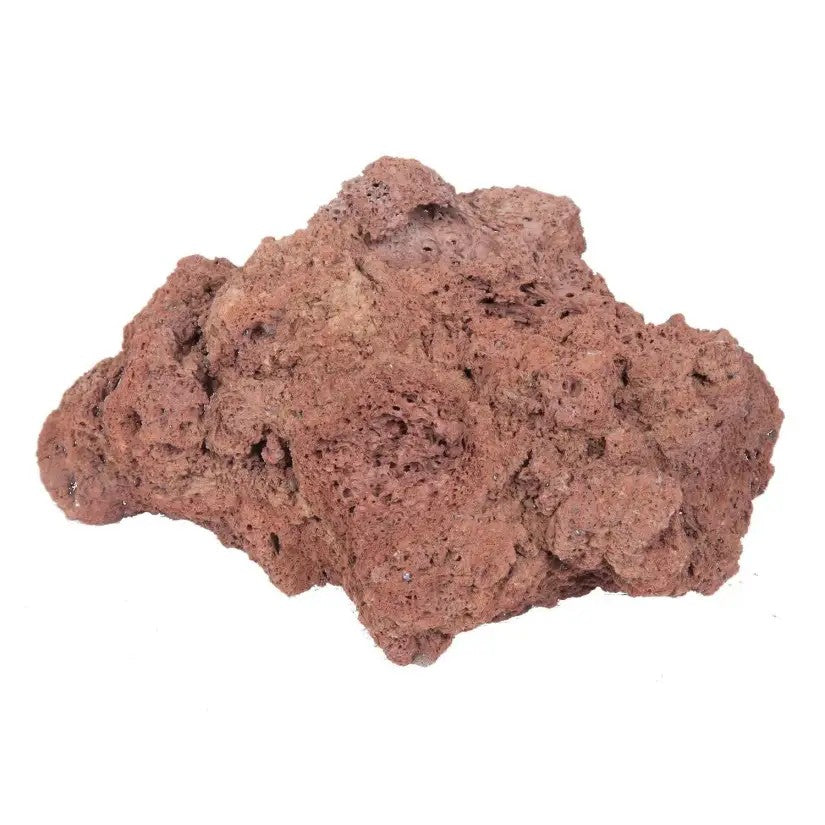 TROPICA Lava kamen, prirodna lava stijena smeđa, 8 - 15cm,1kom