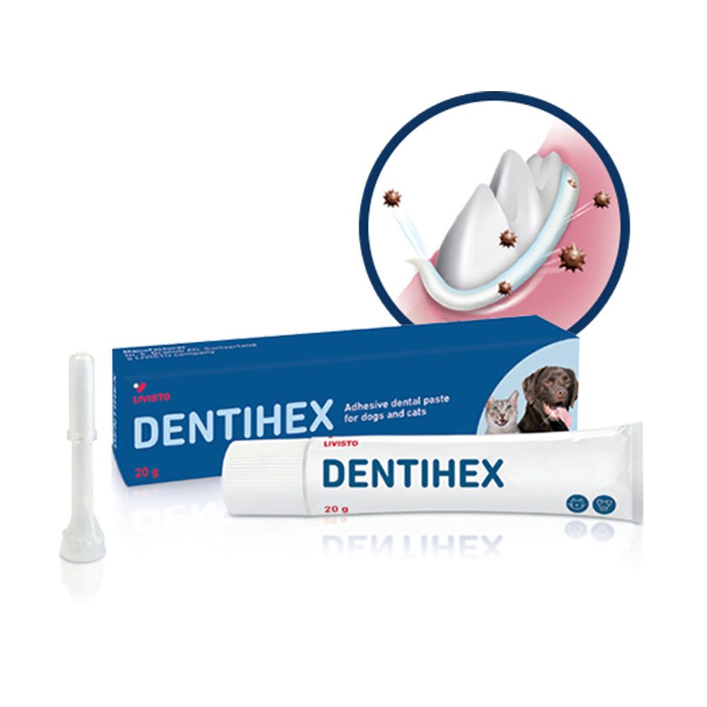 VIRBAC DENTIHEX zubna pasta za pse i macke, 20g