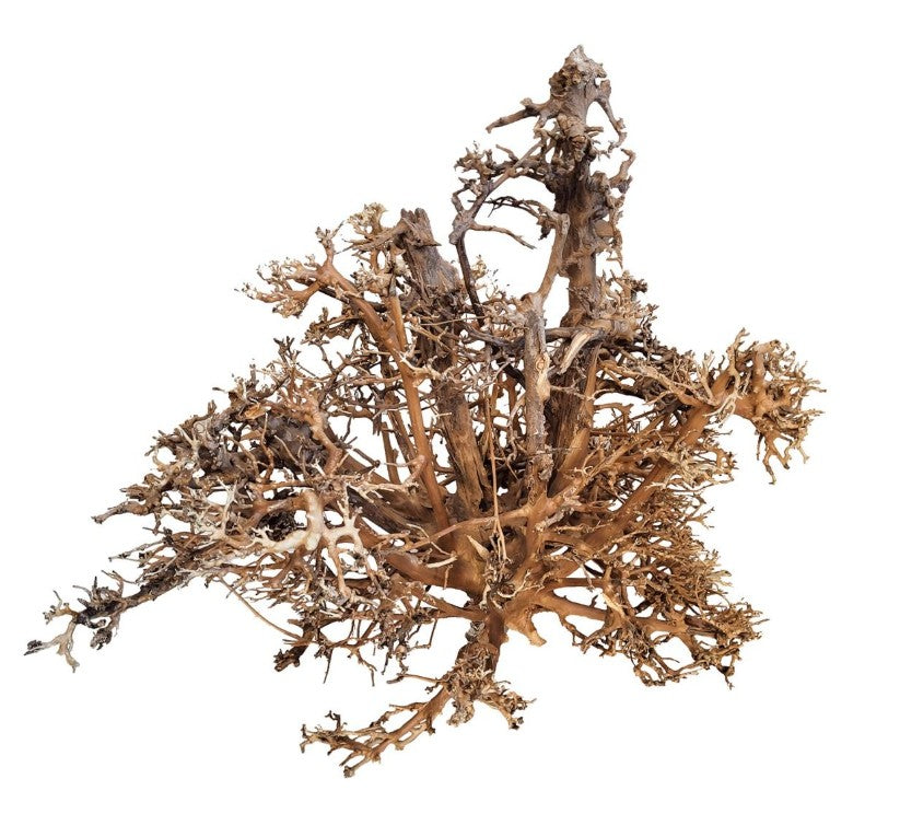 WIO Hardscape Ukras za akvarij Canopy Wood