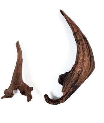 WIO Ukras za akvarij Longhorn Wood